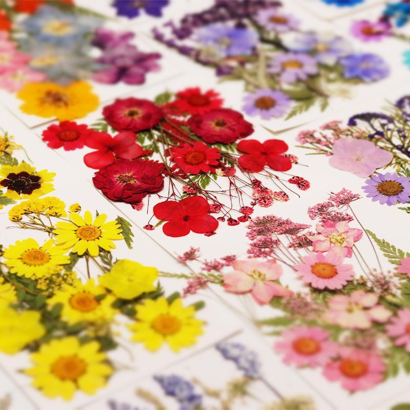 The Art And Craft Of Jewelry - Fleurs séchées naturelles, fleurs pressées pour