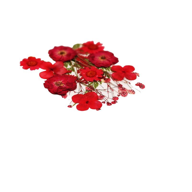 Fleurs séchées naturelles, fle - The Art And Craft Of Jewelry avis et prix